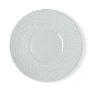 צלחת כוכבית