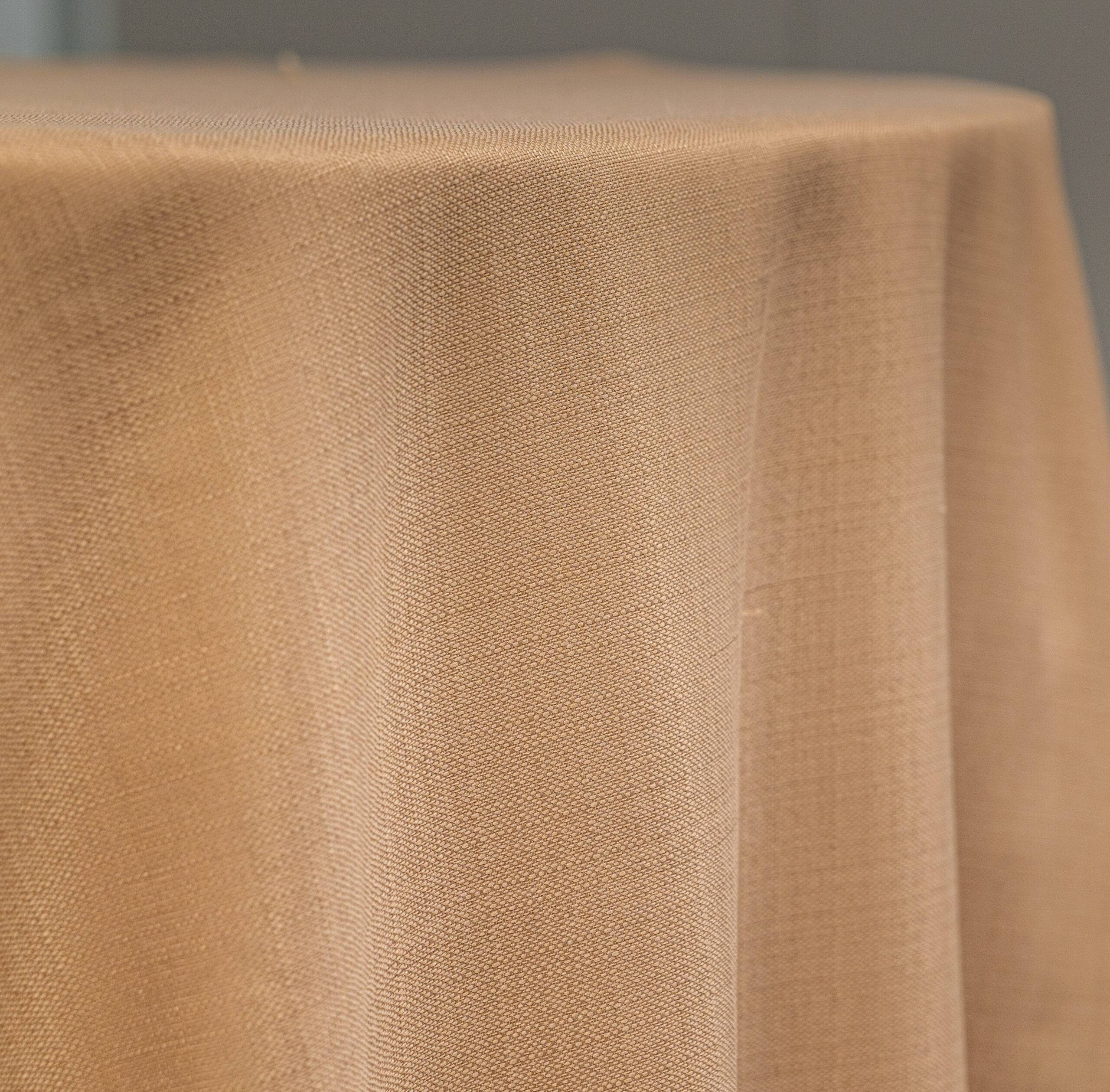 פרובנס פשתן