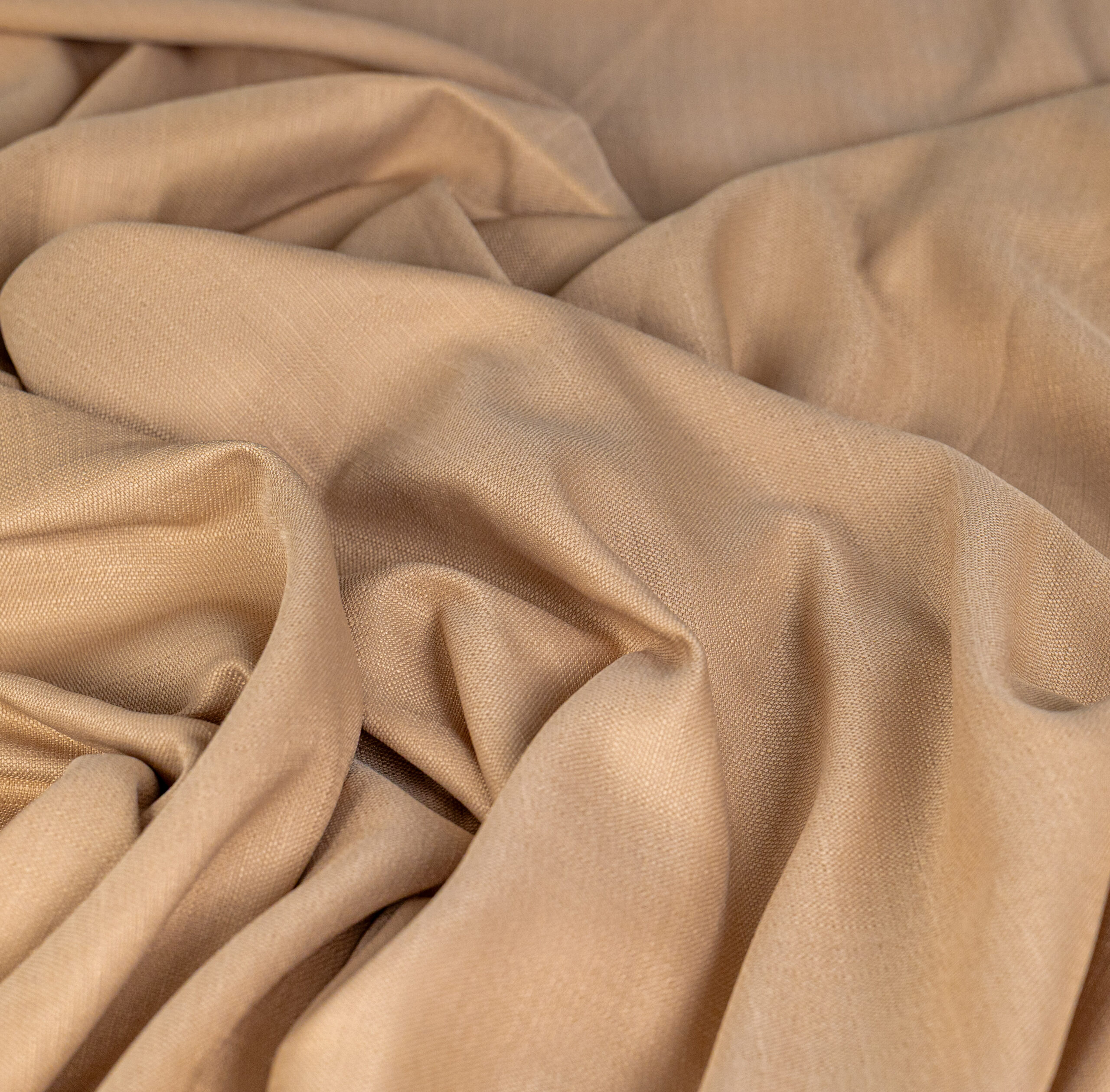 פרובנס פשתן